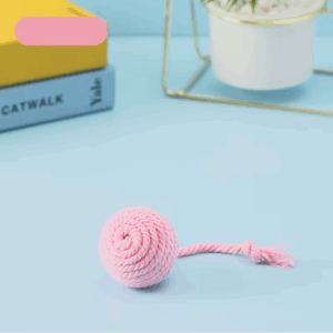 Strona główna auto draft