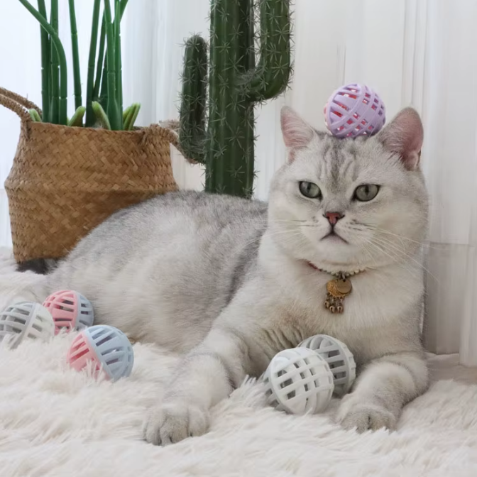 stymulująca piłka dla kota stymulująca piłka dla kota