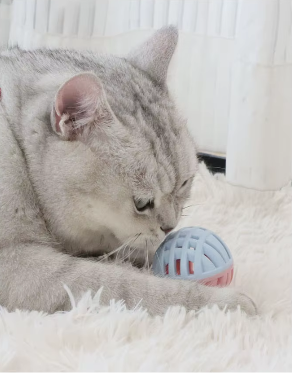 stymulująca piłka dla kota stymulująca piłka dla kota